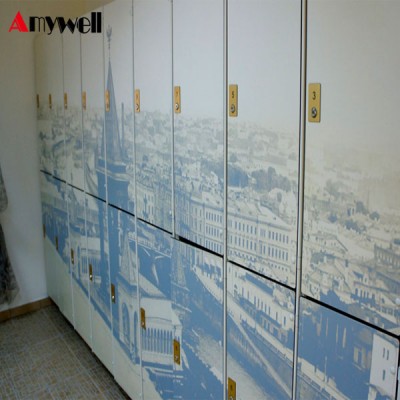 Amywell EN438 compact laminate 3D printing quite health cabinet double tier lockers